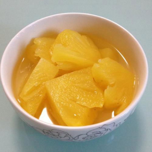 Canned Fruit Canned Pineapple Slices in Syrup 2