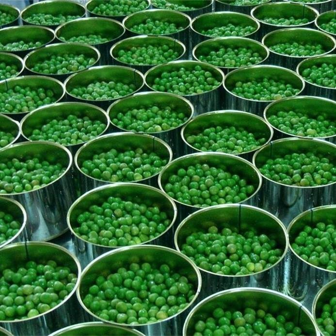 Canned Bean Canned Green Peas