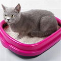 Eco-friendly Feature Stocked Bentonite Pet Cat Litter