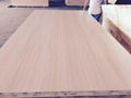 plywood  block board melamine MDF  1