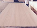 plywood  block board melamine MDF