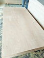 melmaine MDF block board plywood