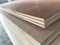 melmaine MDF block board furniture plywood 1
