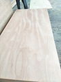 plywood  block board melamine MDF 2