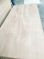  plywood  block board melamine MDF  2