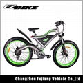 New design fat tire 26Inch 500W 48V