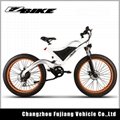 New design fat tire 26Inch 500W 48V electric bike 4