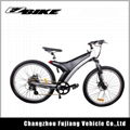 2018 hot sell china electric bike