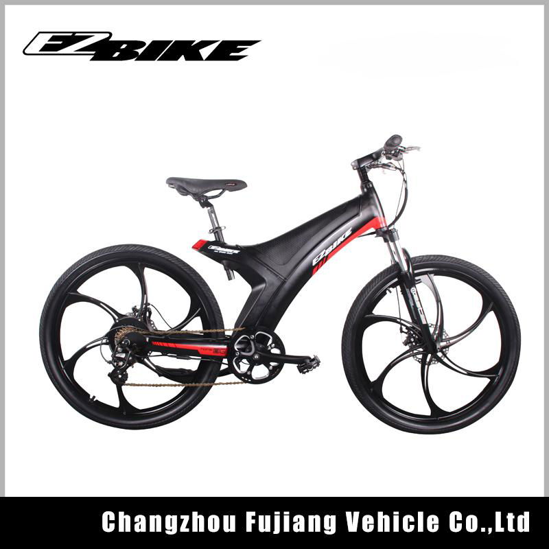 2018 hot sell china electric bike 4