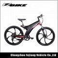 2018 hot sell china electric bike 4