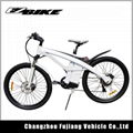 Hot sell high speed electric bike 250W