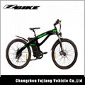 Hot sell high speed electric bike 250W 500W CE EN15194  3