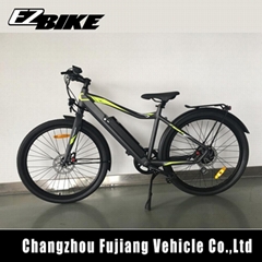 250W rear motor bike mountain Electric Bike with CE/EN 15194 Made in China