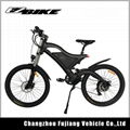 Powerful 36v 250w/500w electric dirt bike for adults 2