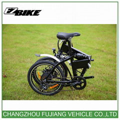 20 inch mini electric bike