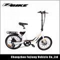 New popular 20 inch mini lady ebike