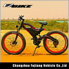 hot sell Powerful e bike fat 