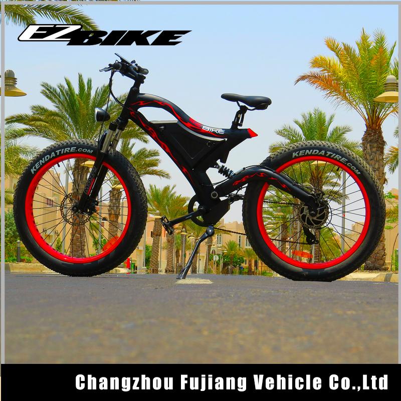 electric bike TDE18