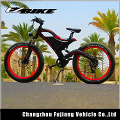 electric bike TDE18