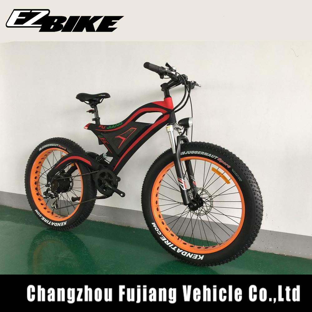 electric bike TDE18 2