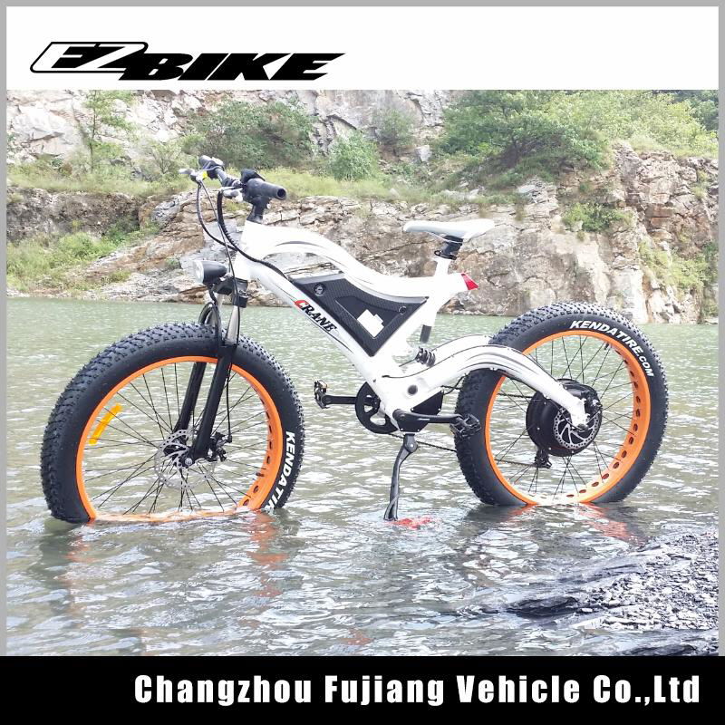 electric bike TDE18 3