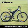 electric bicycle TDA11 1