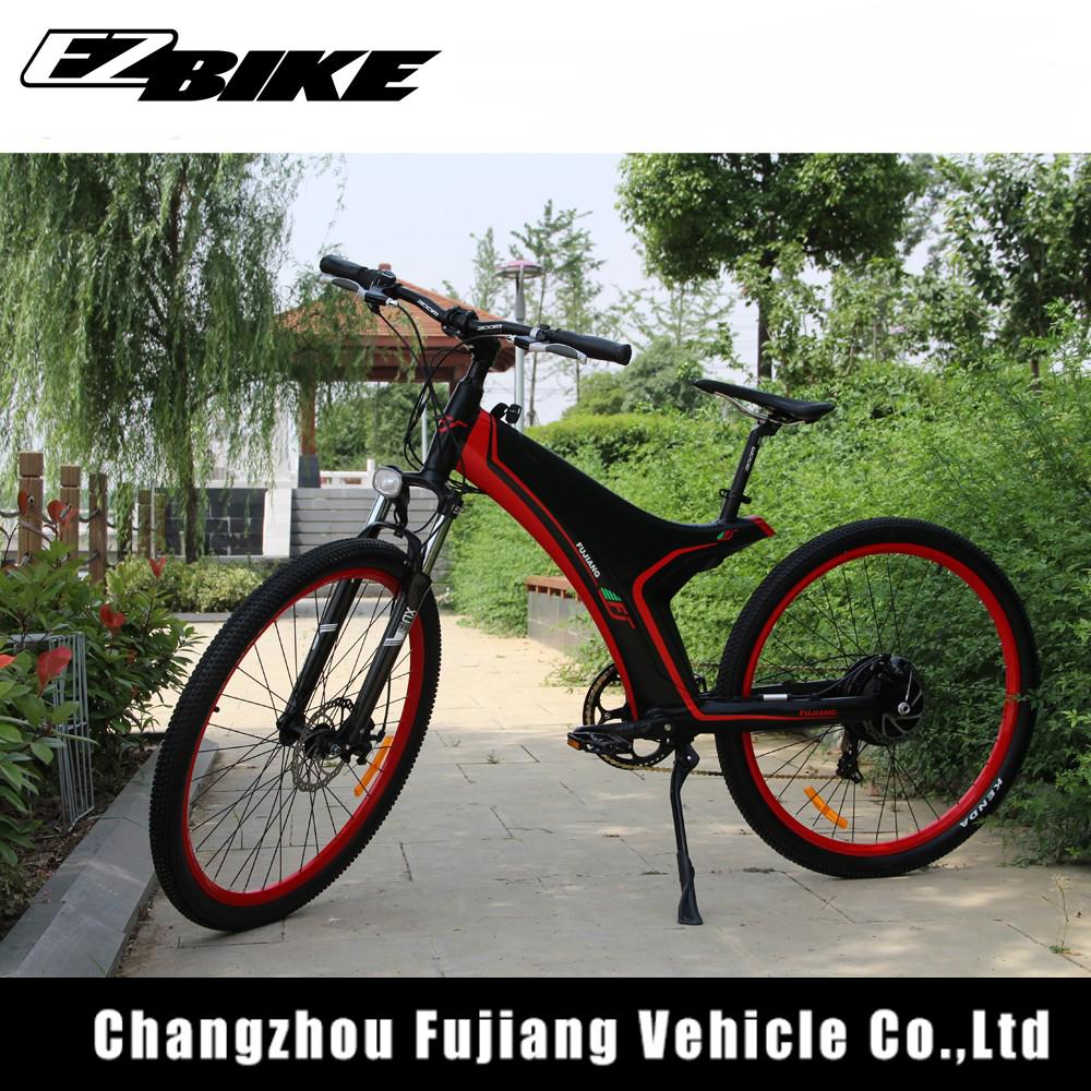 electric bicycle TDA11 2