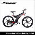 electric bicycle TDA11 4