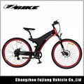 electric bicycle TDA11 5