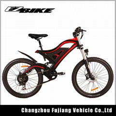 mountain electric bike