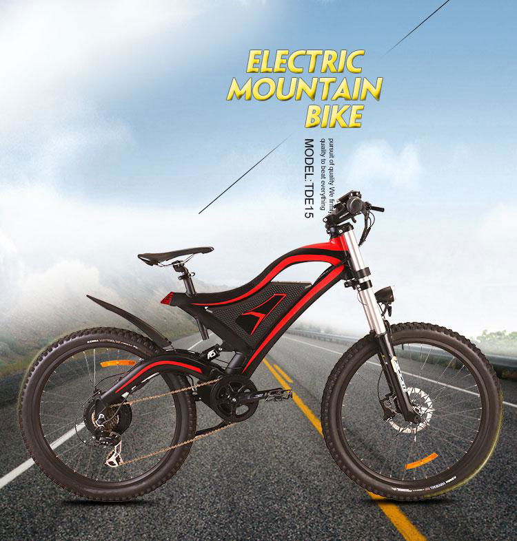 mountain electric bike 5