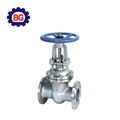 Factory Quality Gate Valve 5