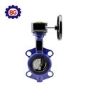 Lug Type Butterfly Valve