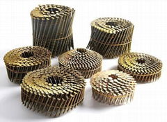 Guangce Brand Coil Roofing Nails