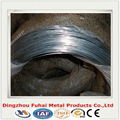 Galvanized iron wire 2