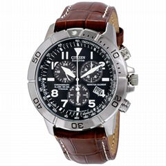 Citizen Eco-Drive Perpetual Calendar Chronograph BL5250-02L