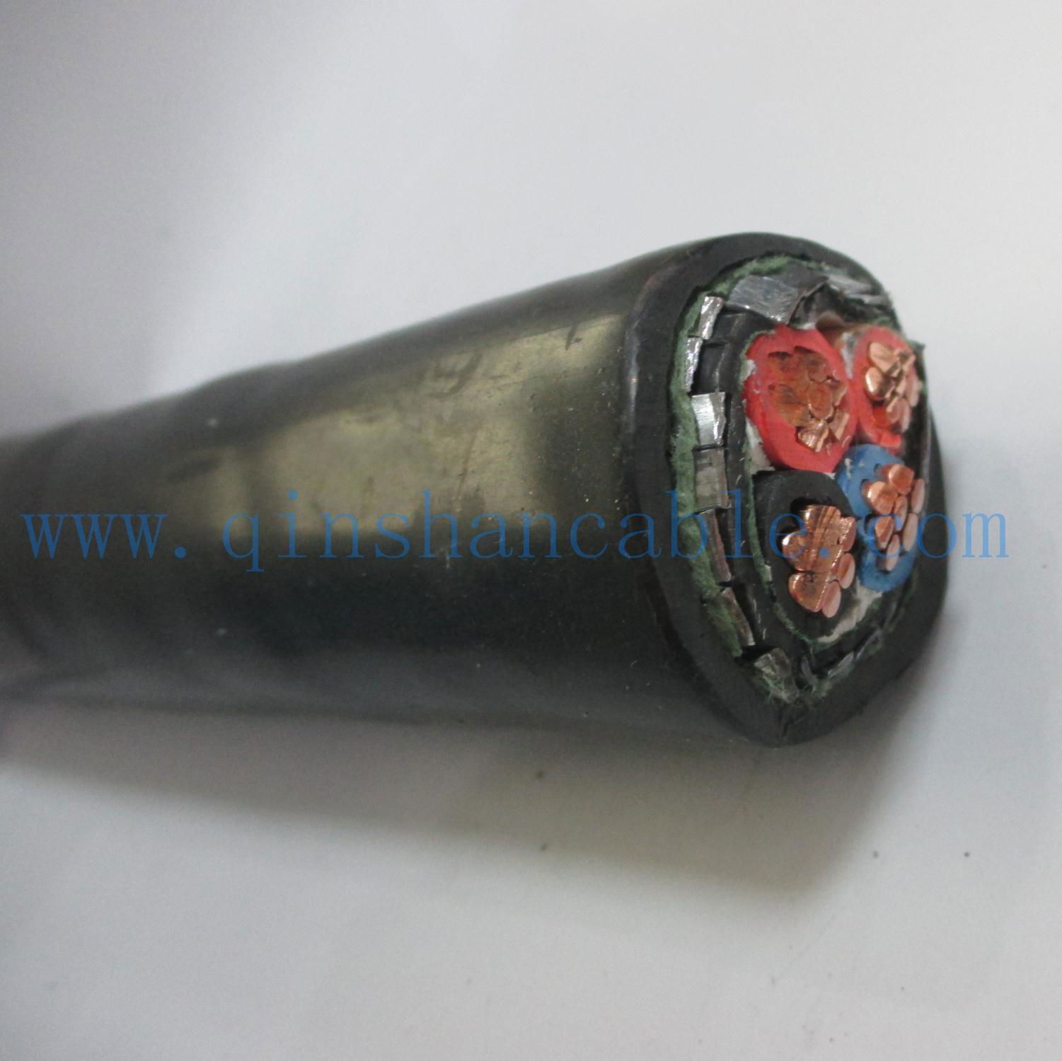 Copper Conductor PVC Insulated PVC Sheathed Electric Cable 2