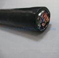 Copper Conductor PVC Insulated PVC Sheathed Electric Cable