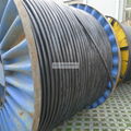 10kV Steel Core Aluminum XLPE Insulated Aerial Power Cable 2