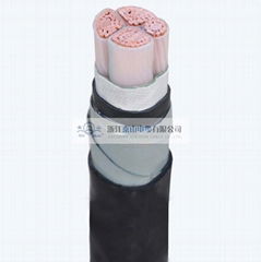 XLPE Insulated PVC Sheathed Electric Cable