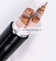 XLPE Insulated PVC Sheathed Electric Cable 2