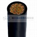 PVC Insulated and Sheathed Control Cable