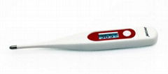 Digital Thermometer