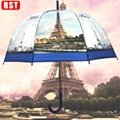 RST brand new product latest fashion design straight wholesale clear umbrella ho 4