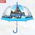 RST brand new product latest fashion design straight wholesale clear umbrella ho 1