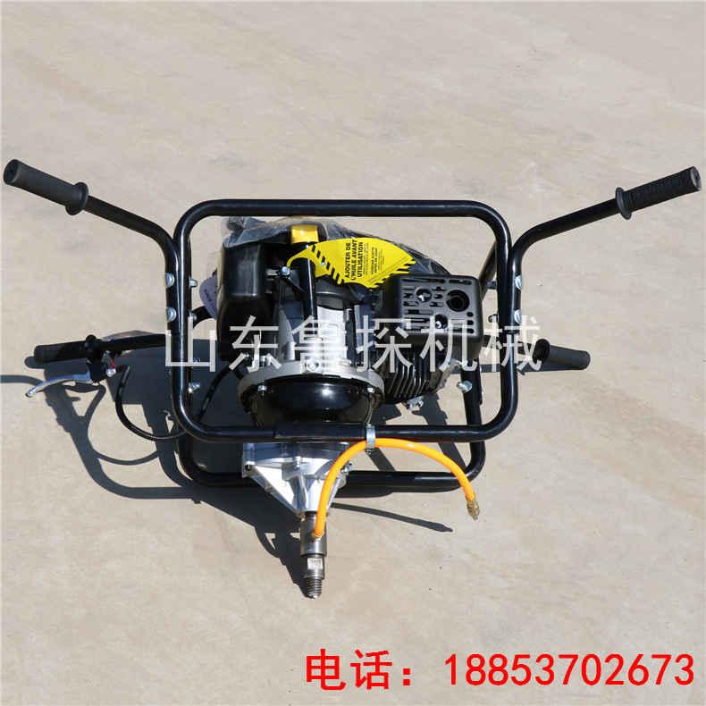 BXZ-2美国科勒汽油机动力强劲效率高 5