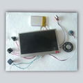 Chinese supplier 4.3 inch format video module