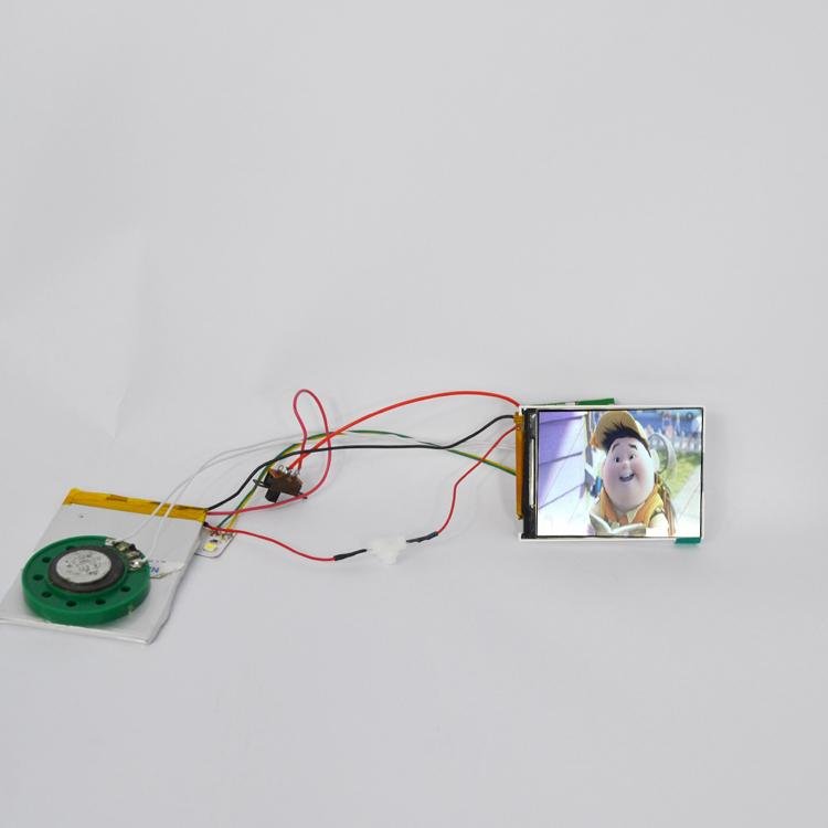 High quality 2.4 inch Lcd video sound module 3
