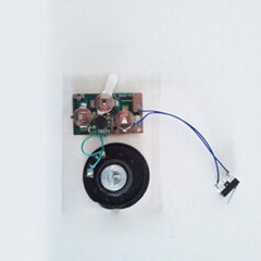 Factory wholesale recording sound module for greeting card