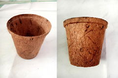 Coir Pots